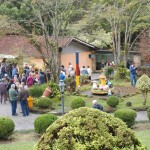 Festa nordestina da melhor idade no Rincão