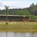 Igreja Rincão Clube Park