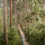 Escolas Acampamentos Rincão Park