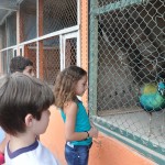 Excursão Passeio de Escola - Rincão Park