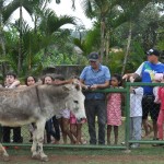 Excursão Passeio de Escola - Rincão Park