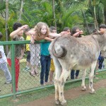 Excursão Passeio de Escola - Rincão Park